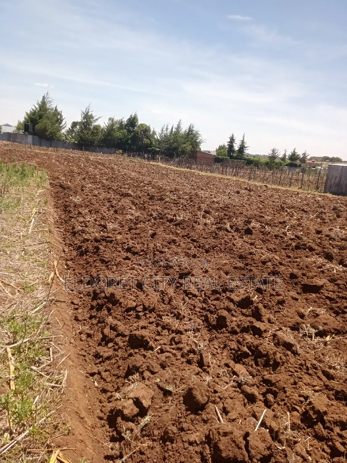 1/8 and 1/4 Plots Kipkorgot Ideal for Residential in Kapsuswa