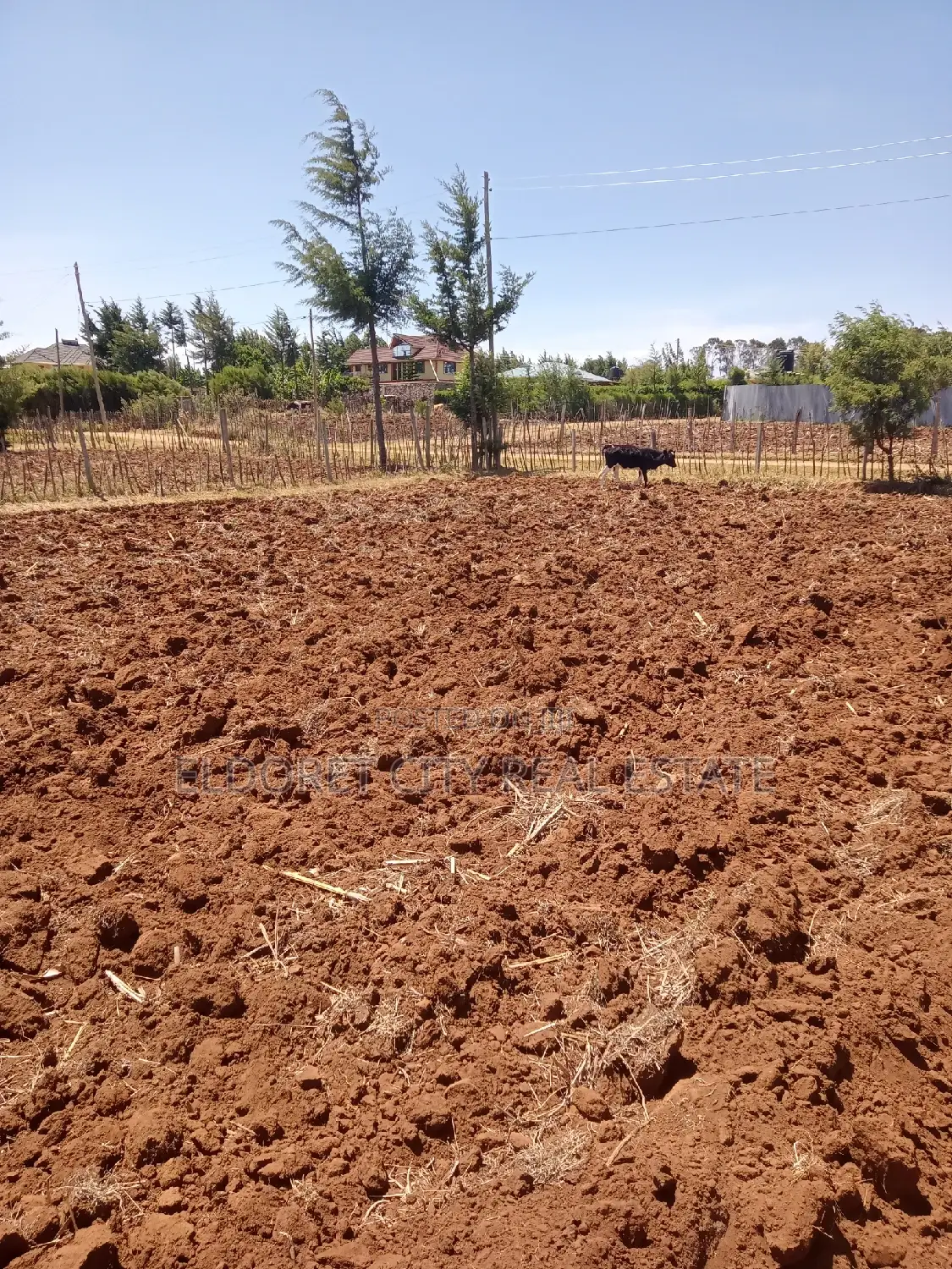 1/4 Plot Kipkorgot Ideal for Residential in Kapsuswa