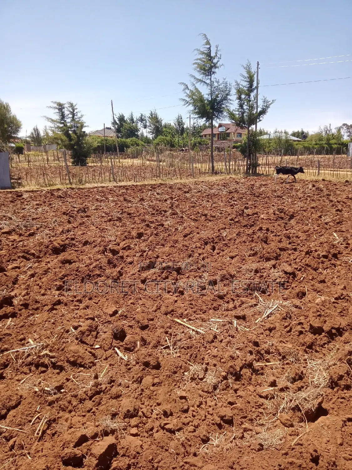 1/4 Plot Kipkorgot Ideal for Residential in Kapsuswa