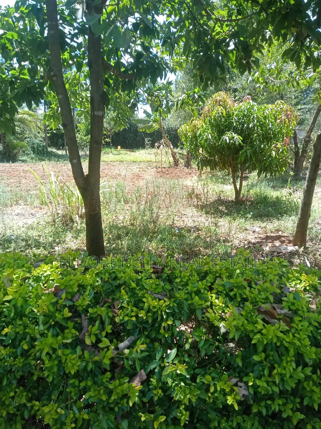 1/4 Plot Kolol Estate Longonot Area in Kapsuswa