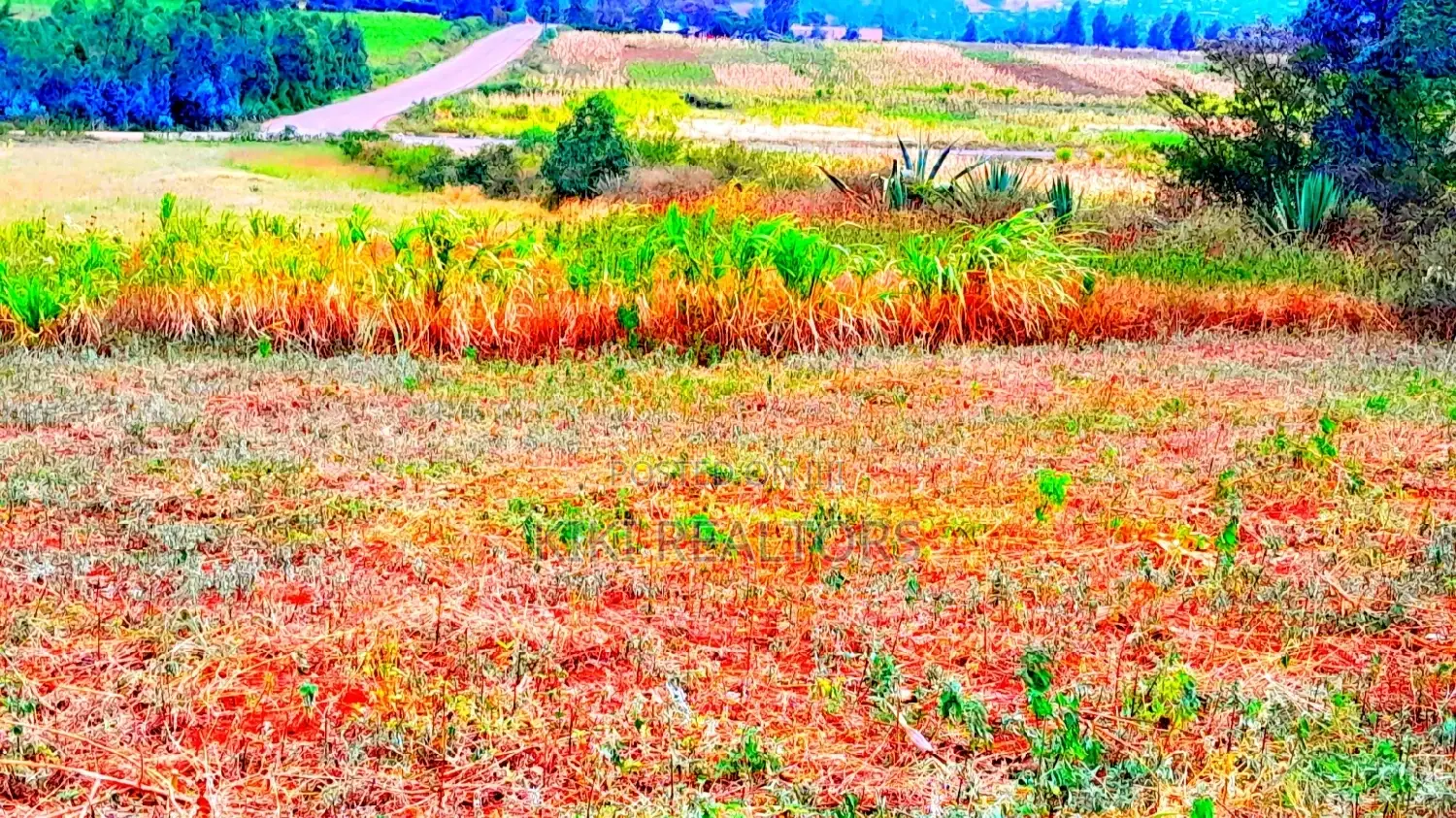 Plots for Sale: Kikuyu Thigio's Prime Location in Kikuyu