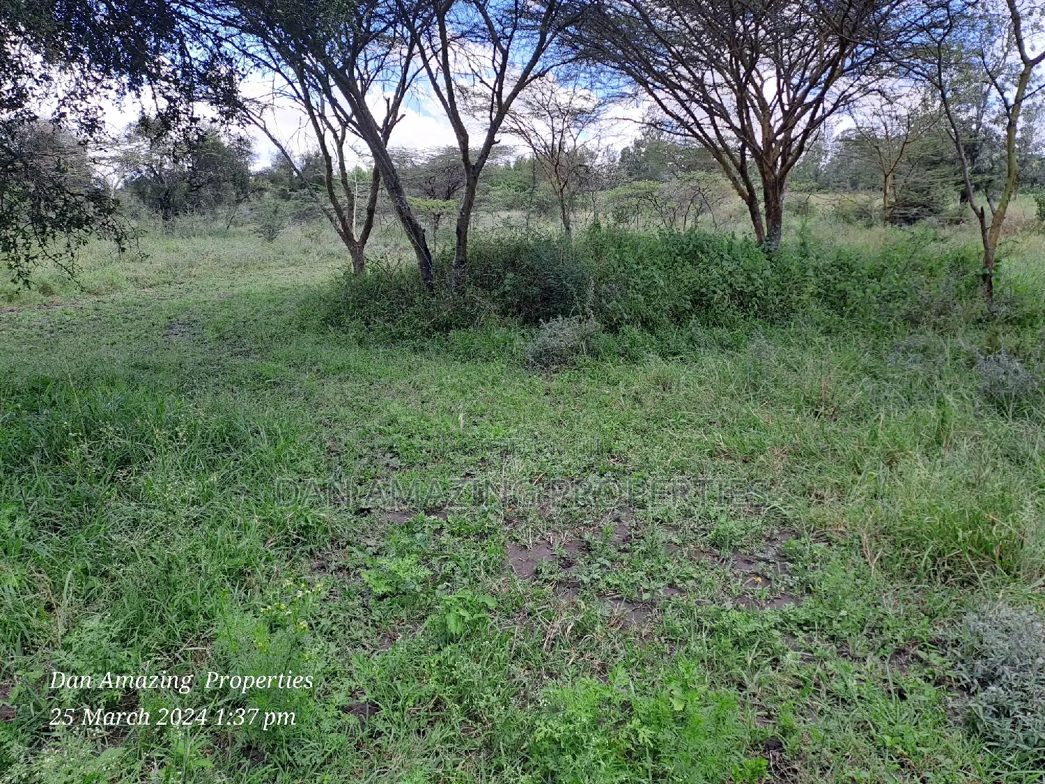Dawamu SCH Land: 5-Acre Block for Sale, Isinya Road in Kiserian