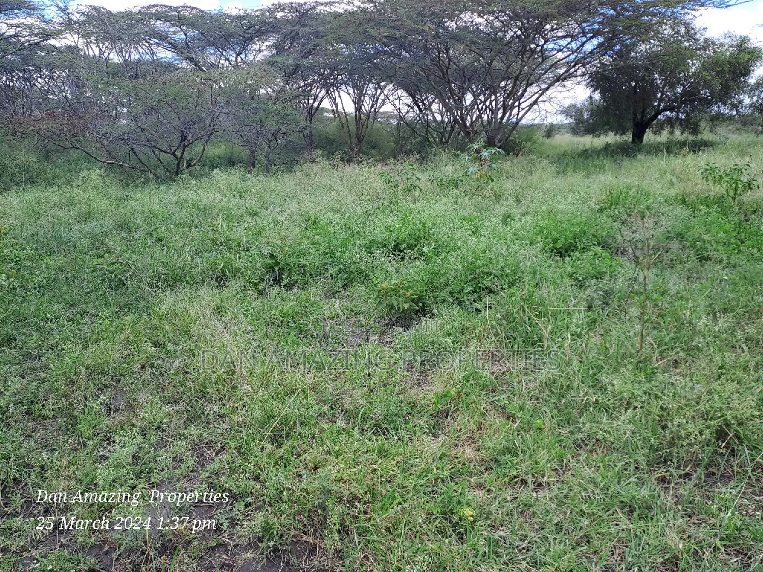 Dawamu SCH Land: 5-Acre Block for Sale, Isinya Road in Kiserian