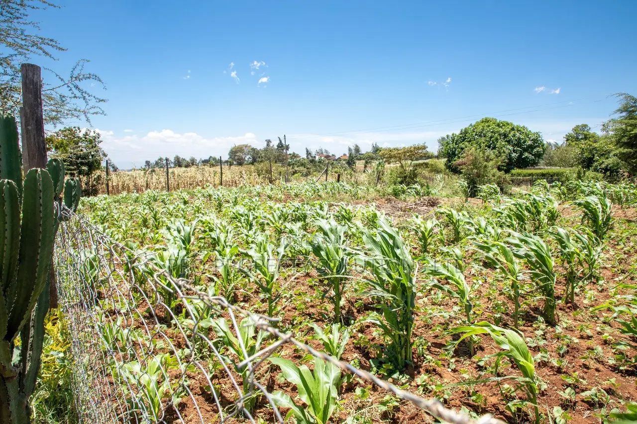 Discover Your Dream Home: Residential Plots in Kikuyu, Kamangu in Kikuyu