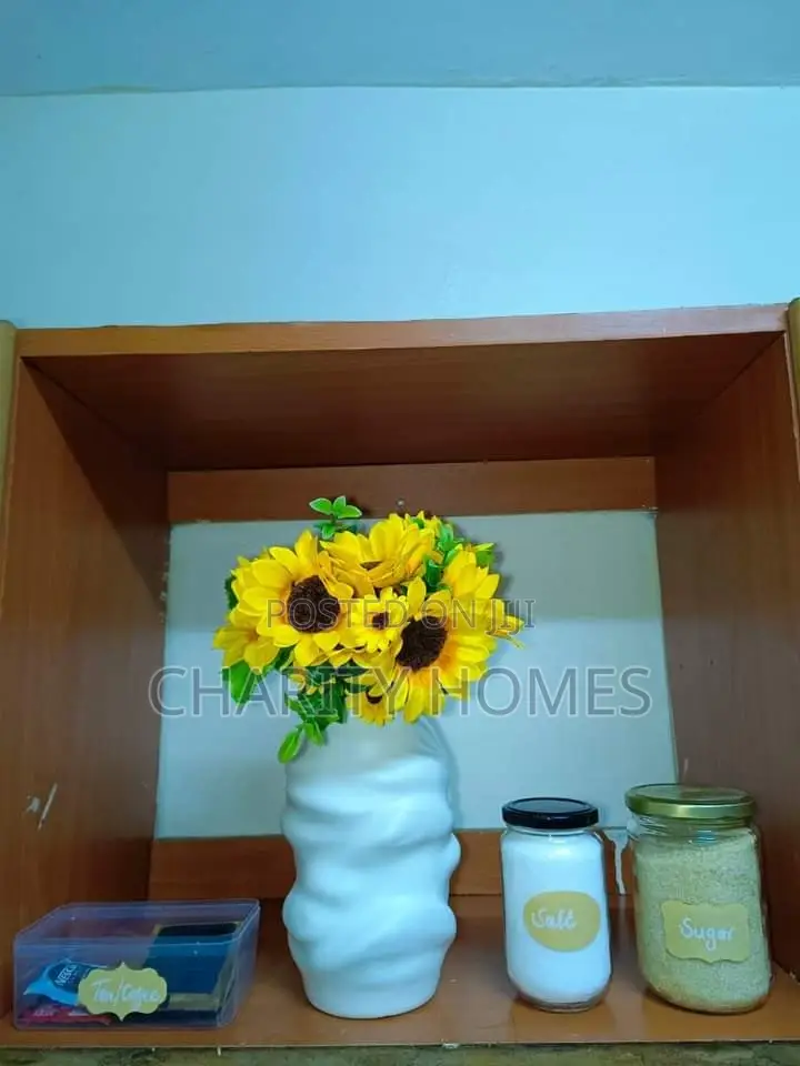 One-Bedroom Apartment in Plainview - South B Airbnb in South B