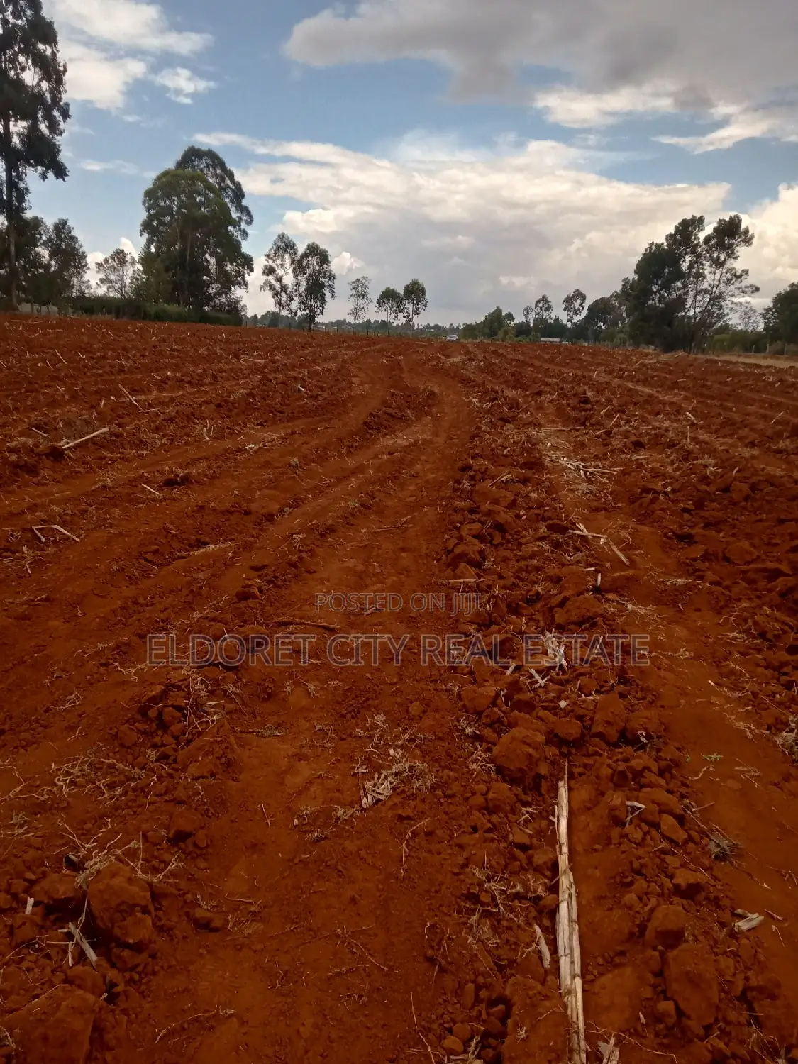 5 Acres Merewet With Title Less Than 1.5km From Tarmac in Kapsuswa