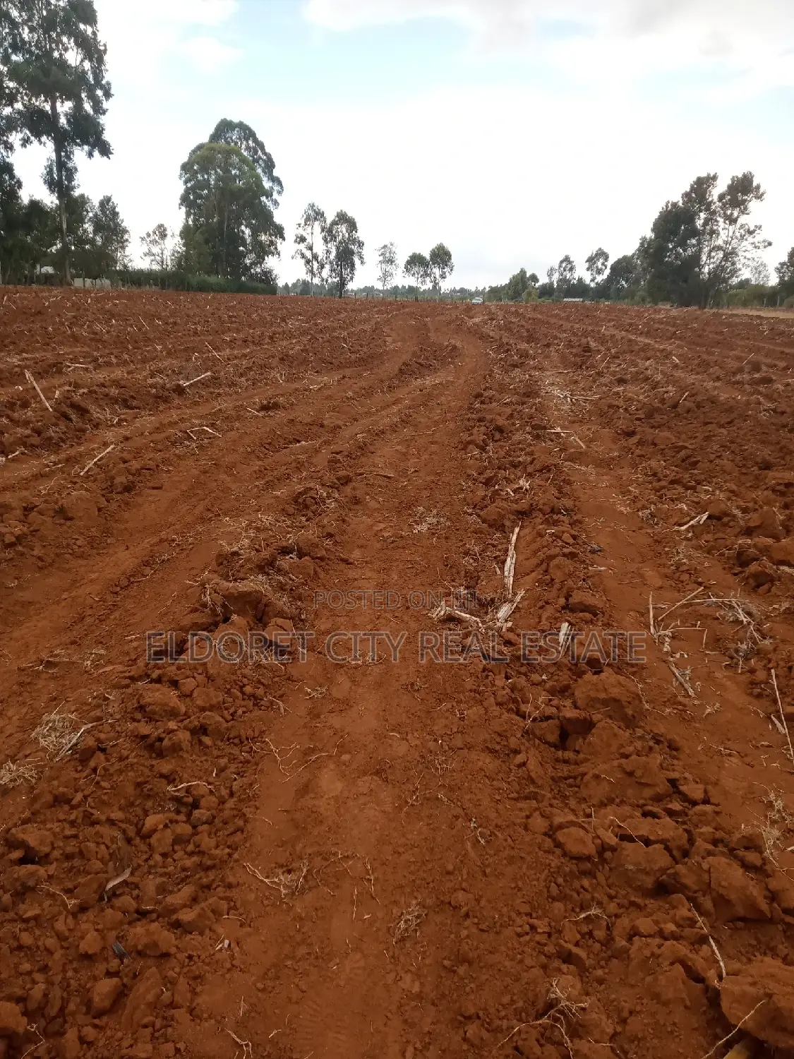 5 Acres Merewet With Title Less Than 1.5km From Tarmac in Kapsuswa