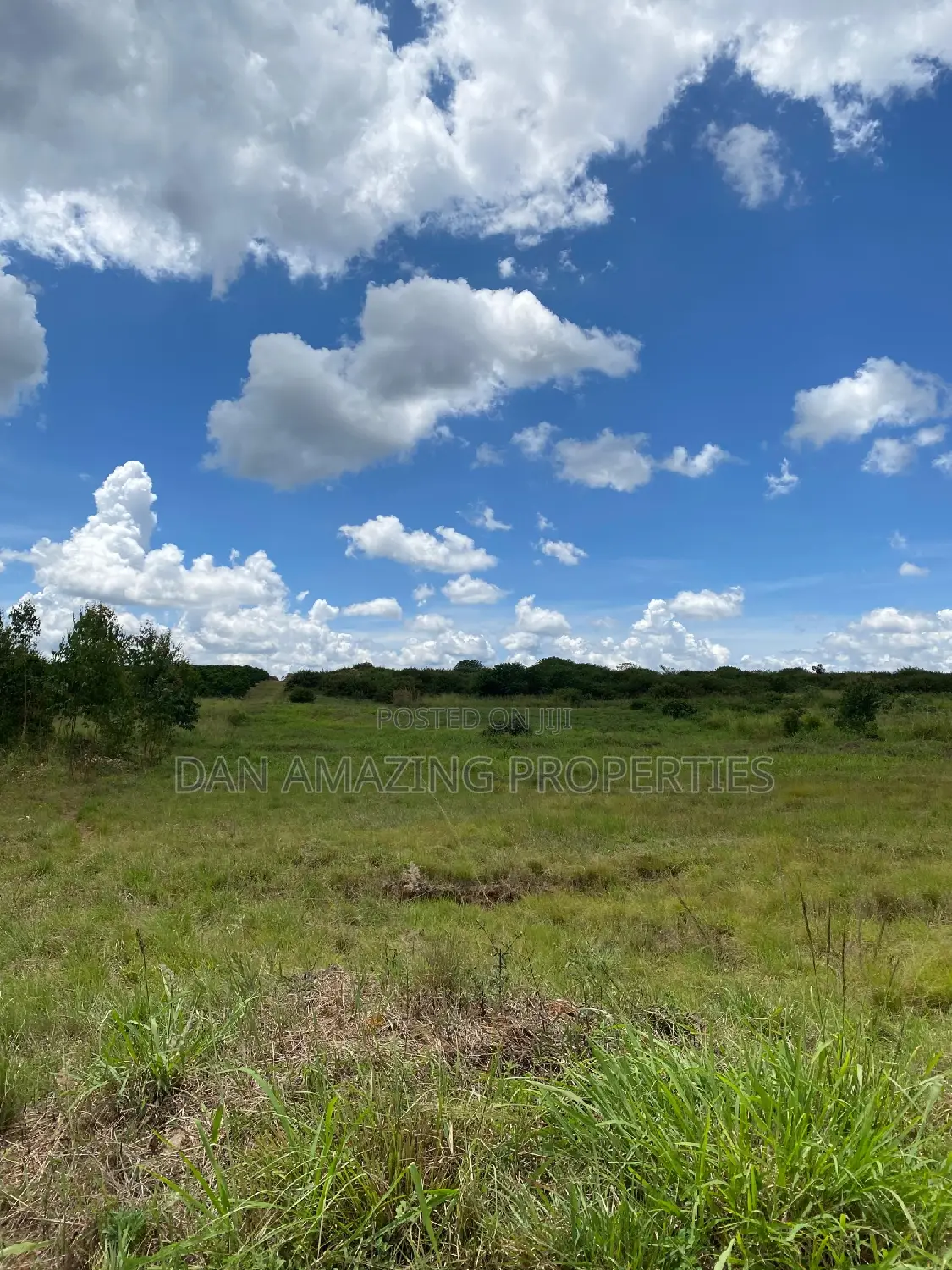 Industrial Land Sale in Ruiru Murera: Close to Oakland Tatu City in Ruiru