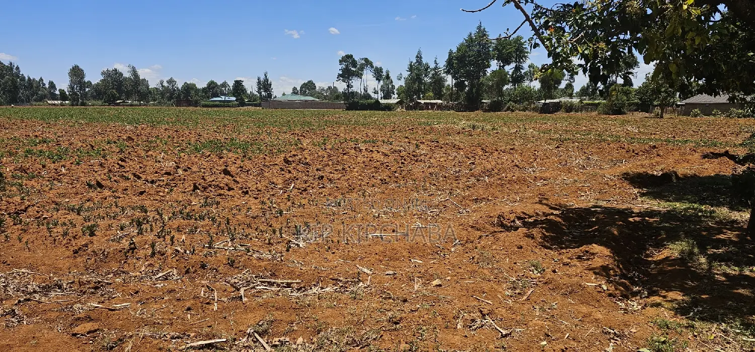 Prime 5 Acres Land Up for Sale in Kapseret Lobo Bypass, Eldoret in Kapseret