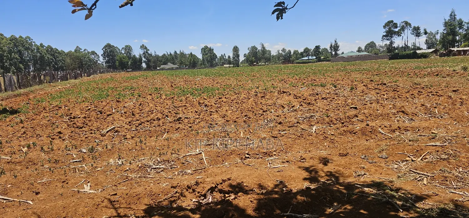 Prime 5 Acres Land Up for Sale in Kapseret Lobo Bypass, Eldoret in Kapseret