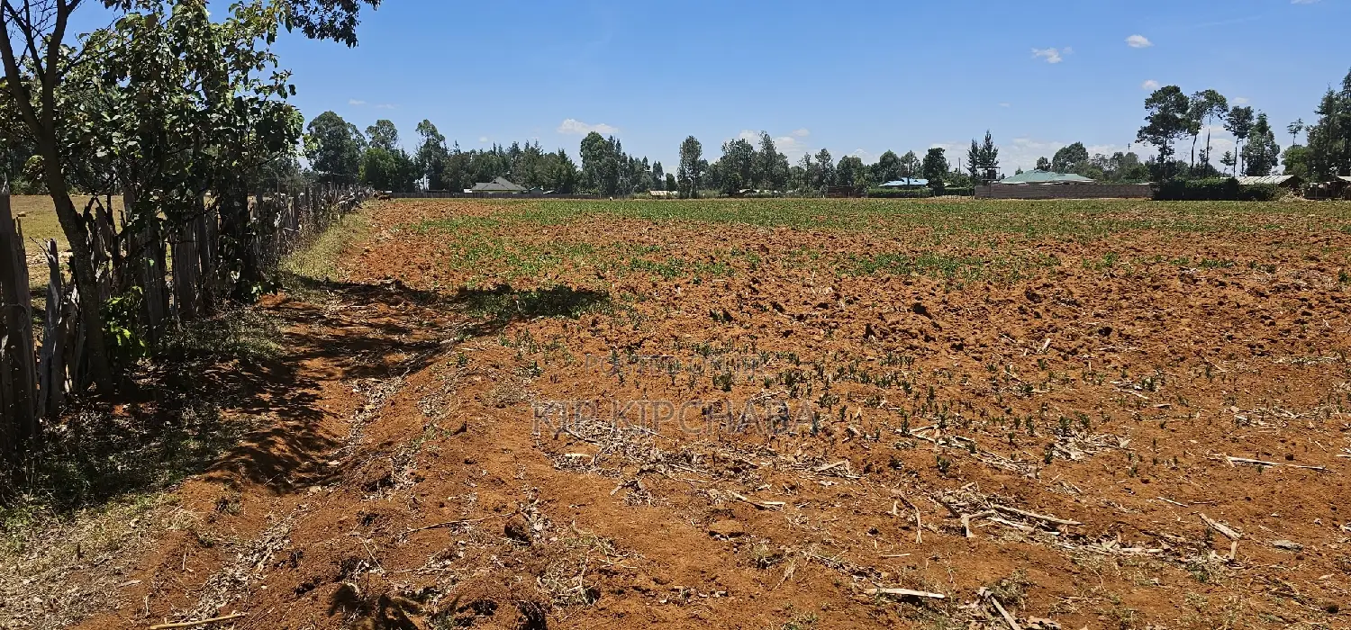 Prime 5 Acres Land Up for Sale in Kapseret Lobo Bypass, Eldoret in Kapseret