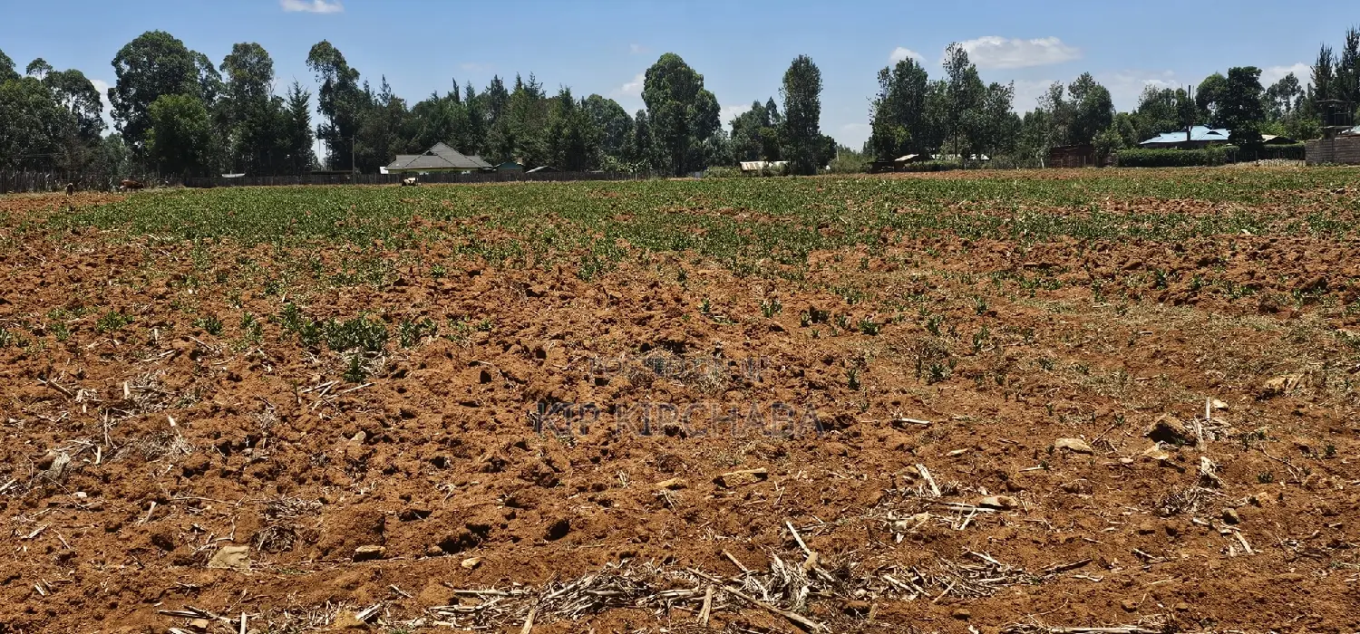 Prime 5 Acres Land Up for Sale in Kapseret Lobo Bypass, Eldoret in Kapseret