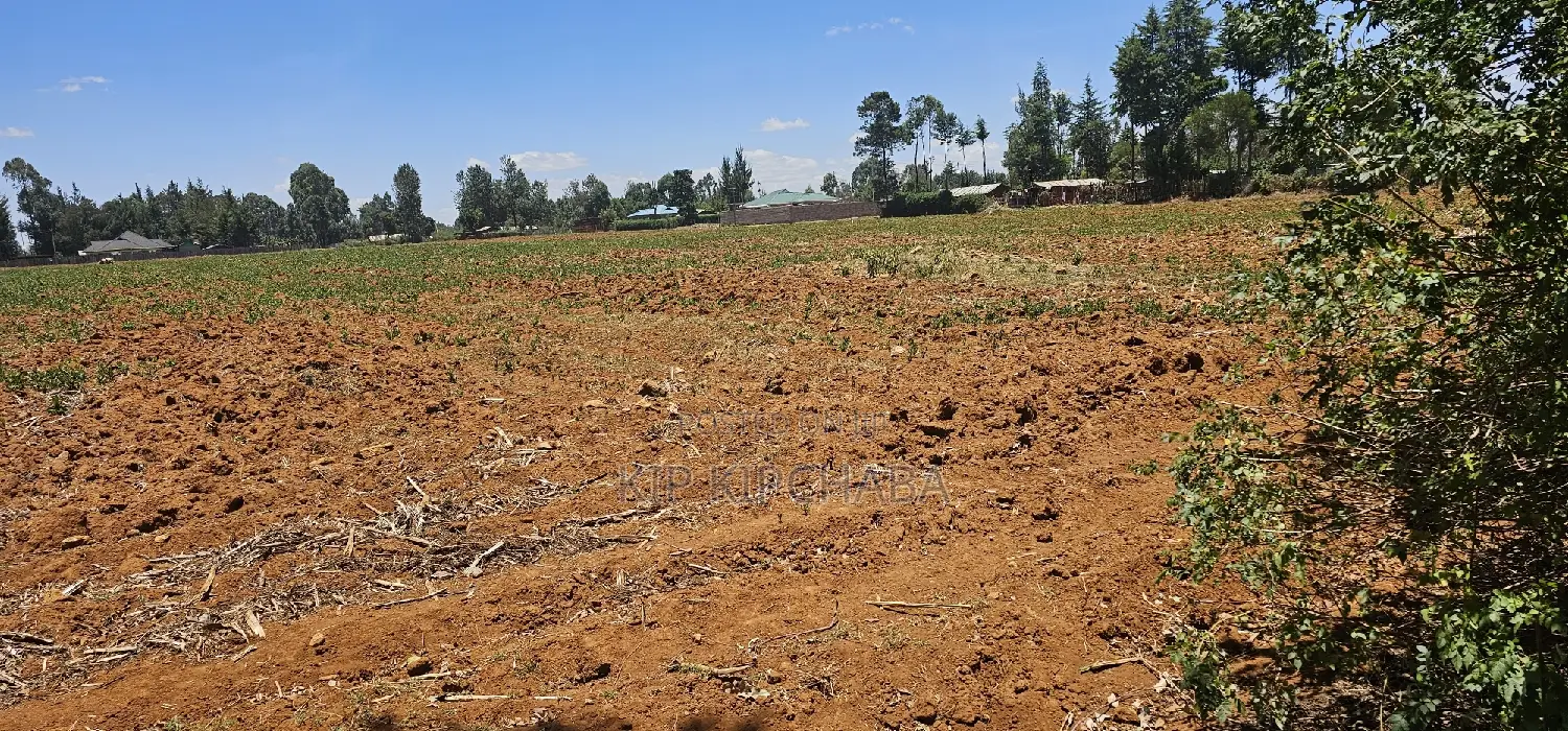 Prime 5 Acres Land Up for Sale in Kapseret Lobo Bypass, Eldoret in Kapseret