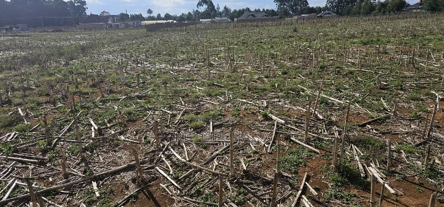 Prime Real Estate: Plots for Sale Near New MTRH, Eldoret, Kiplombe in Eldoret CBD