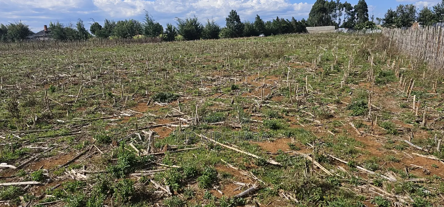 Prime Real Estate: Plots for Sale Near New MTRH, Eldoret, Kiplombe in Eldoret CBD