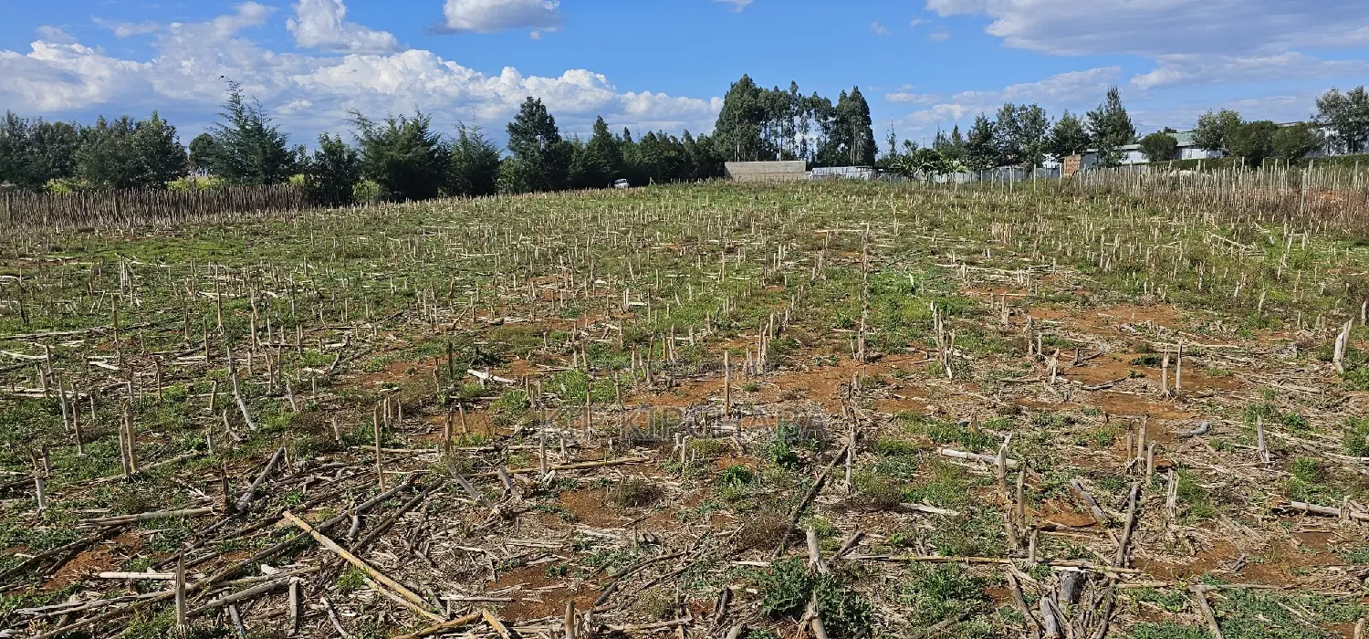 Prime Real Estate: Plots for Sale Near New MTRH, Eldoret, Kiplombe in Eldoret CBD