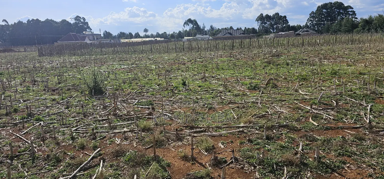 Prime Real Estate: Plots for Sale Near New MTRH, Eldoret, Kiplombe in Eldoret CBD