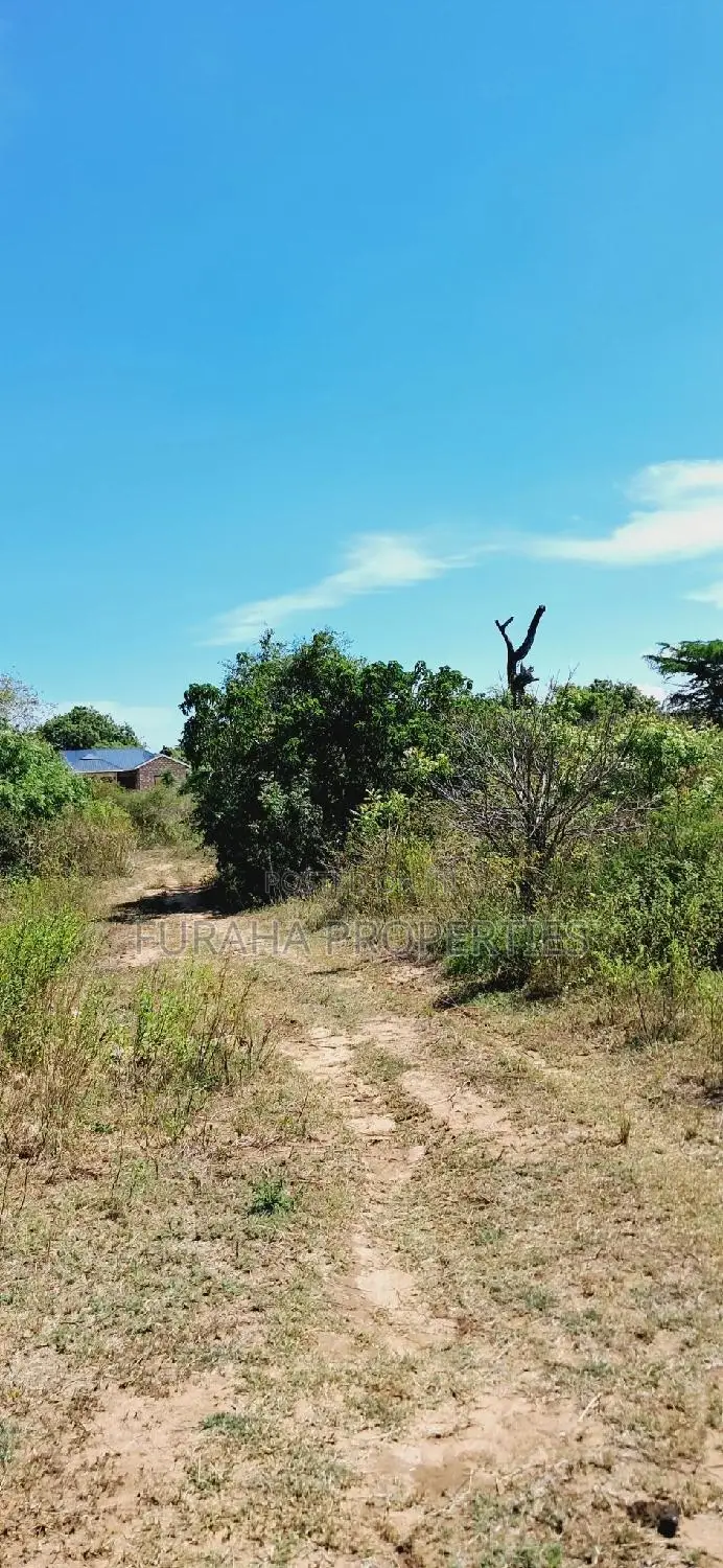 Invest in a Piece of Kilifi Munarani: Eighth Plots on Offer in Kilifi North