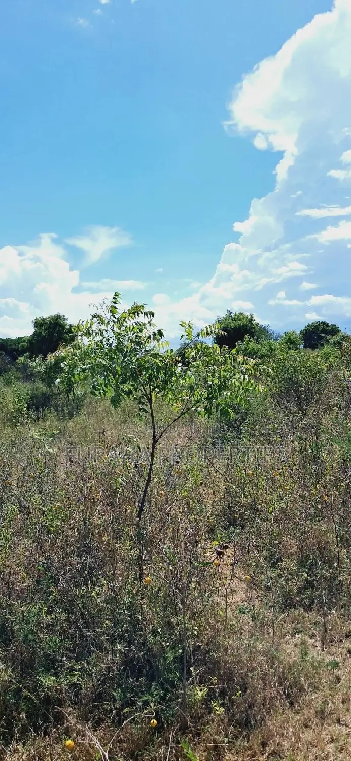 Invest in a Piece of Kilifi Munarani: Eighth Plots on Offer in Kilifi North