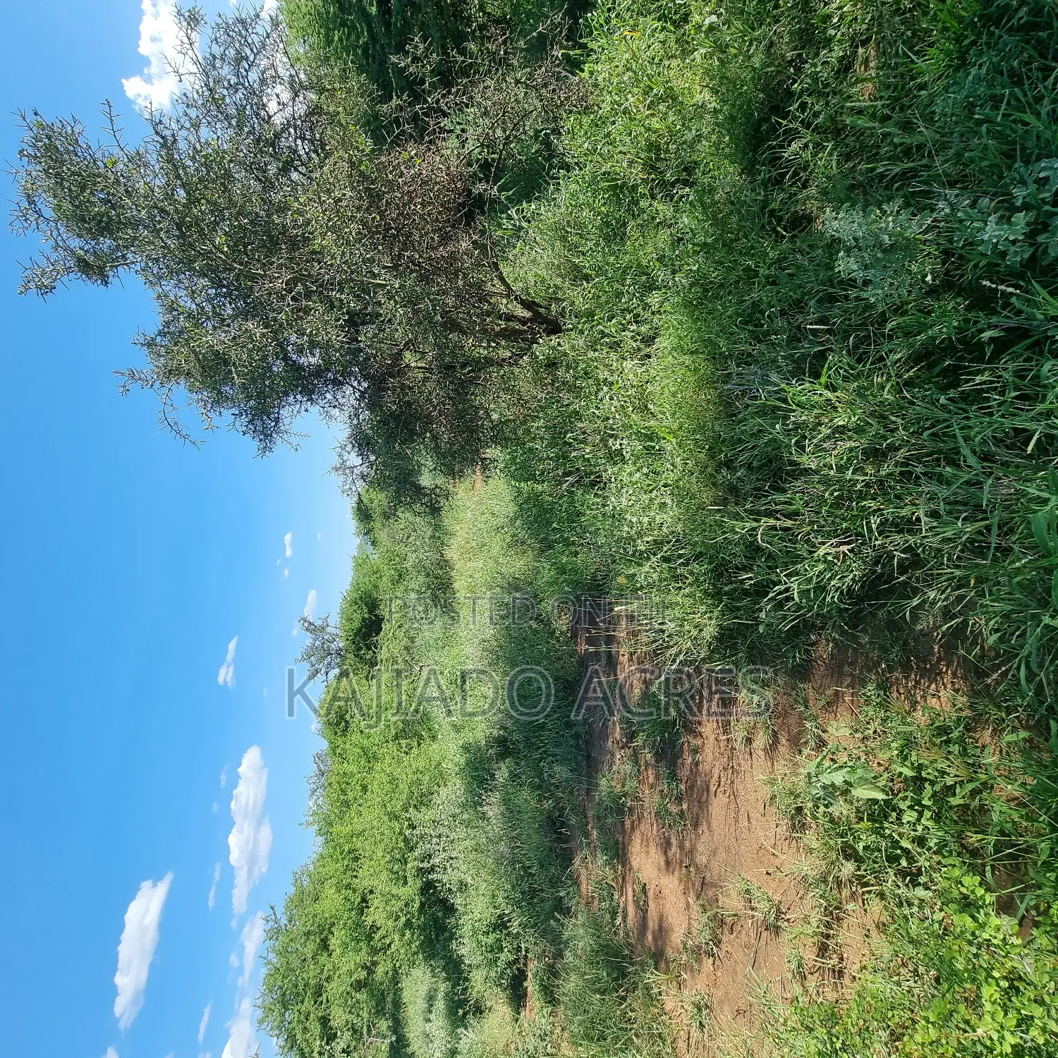 18 Acres Oloika at Per Acre in Oloosirkon/Sholinke