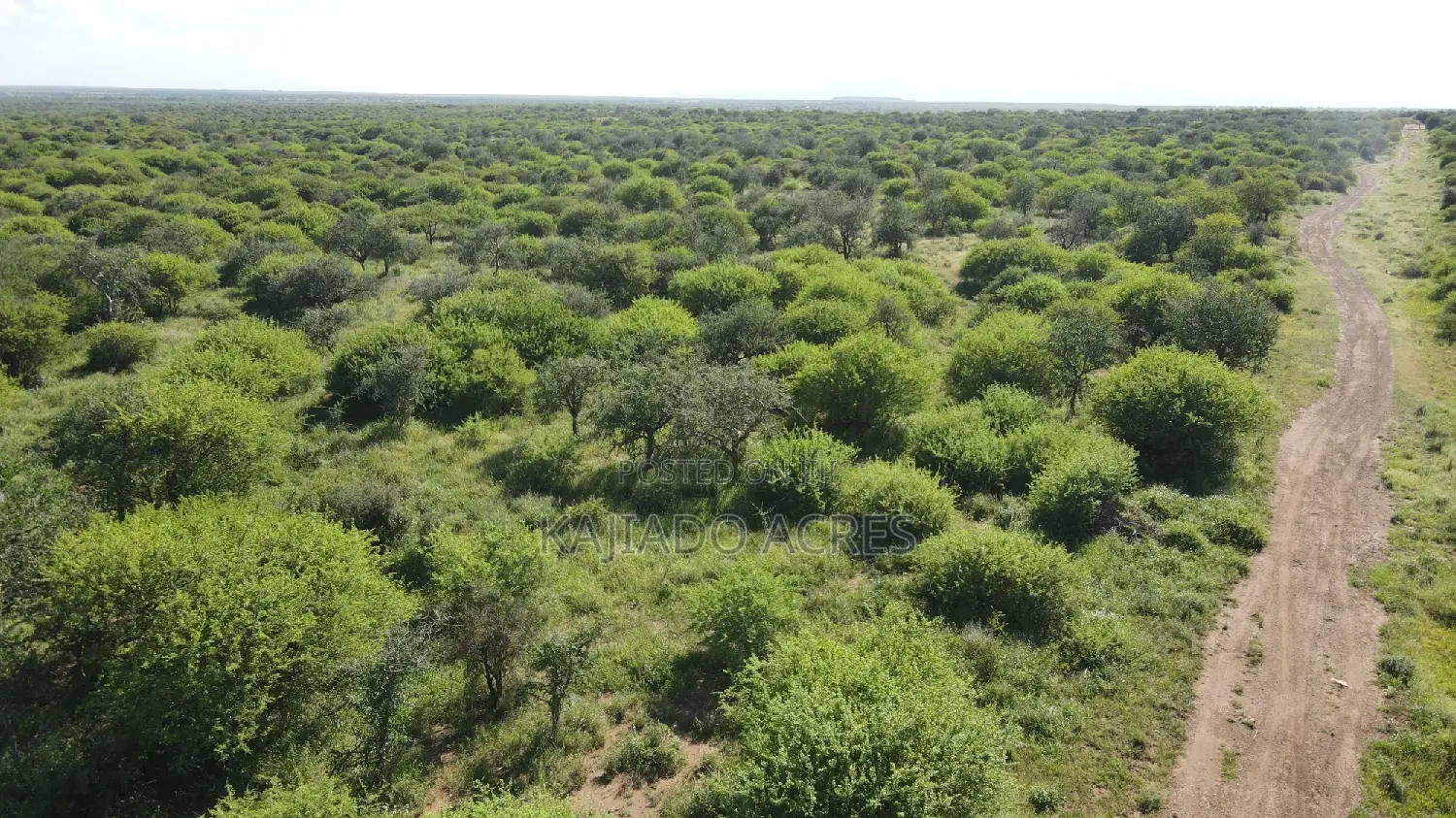 18 Acres Oloika at Per Acre in Oloosirkon/Sholinke