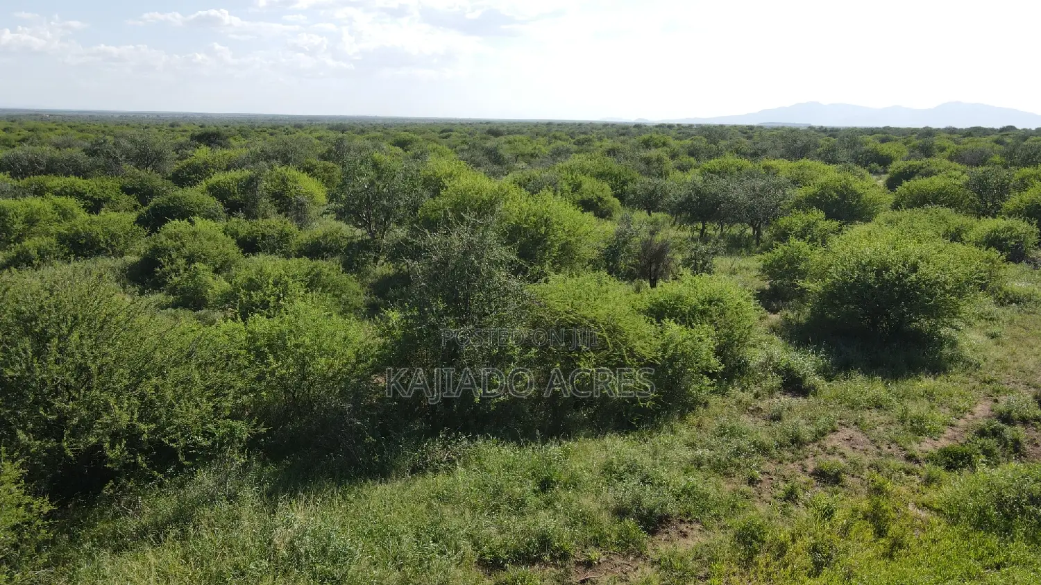 18 Acres Oloika at Per Acre in Oloosirkon/Sholinke