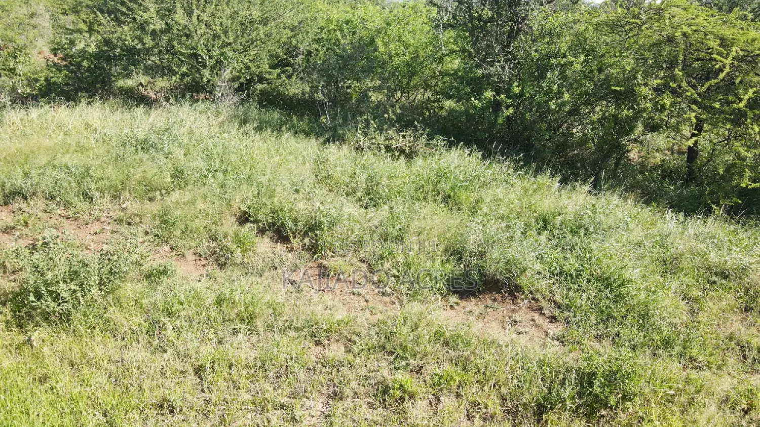 18 Acres Oloika at Per Acre in Oloosirkon/Sholinke