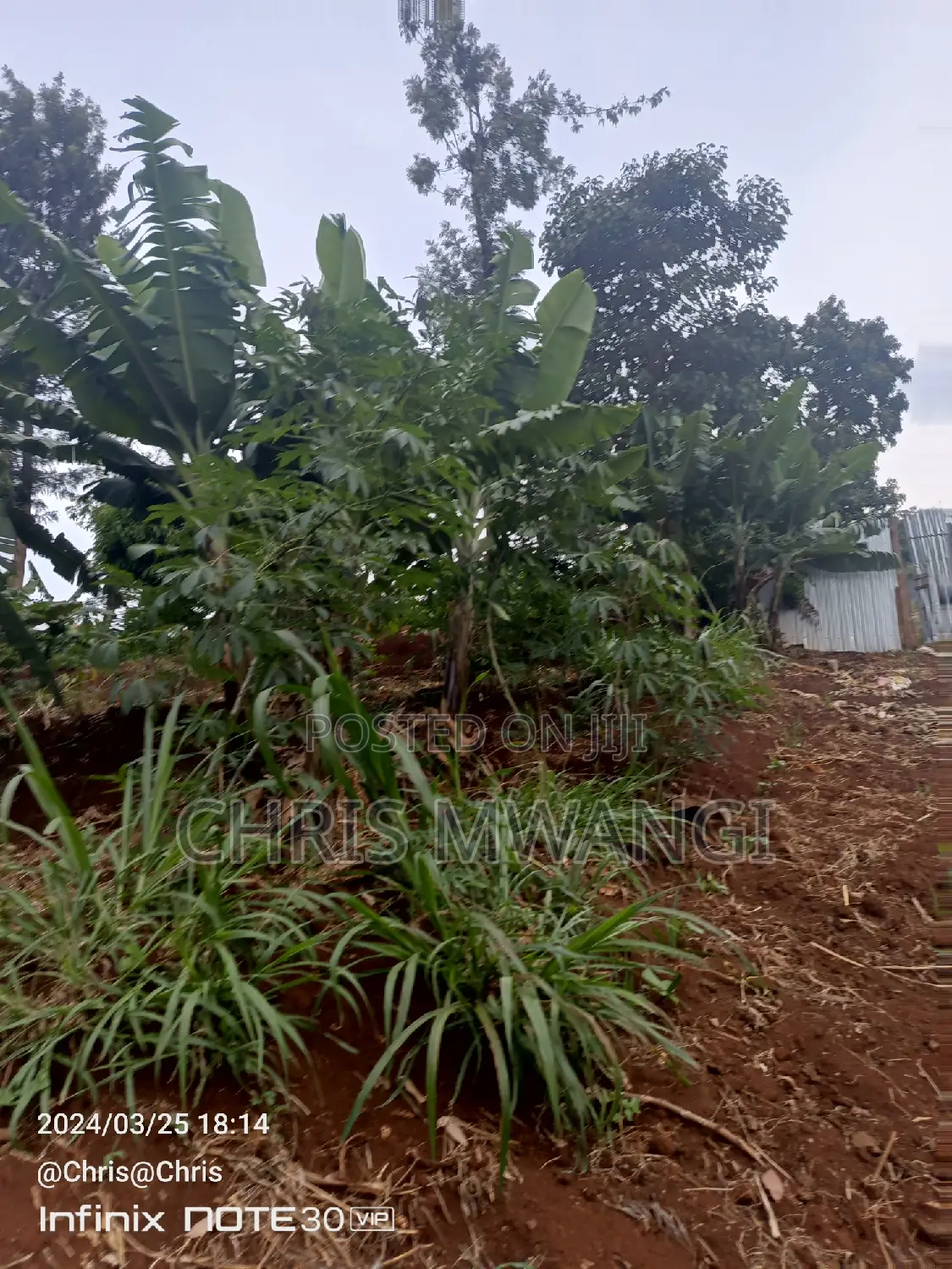 Clean Title Deed: Purchase Freehold Title Today in Ruaka