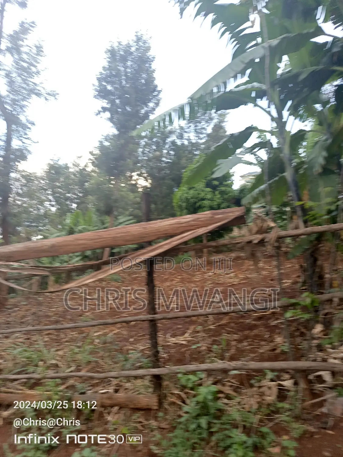 Clean Title Deed: Purchase Freehold Title Today in Ruaka
