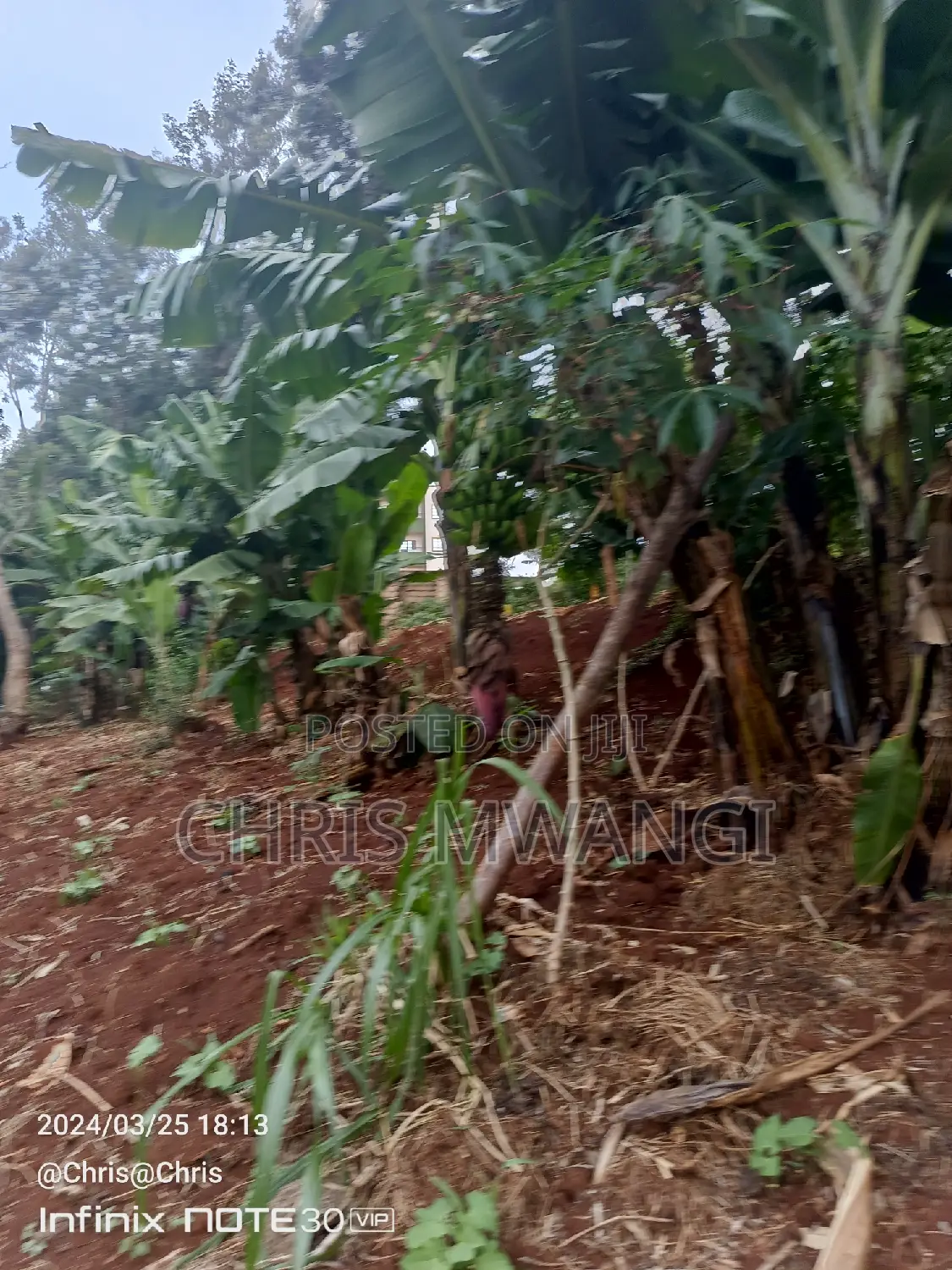 Perfect Title Deed: Secure Your Property Today in Ruaka