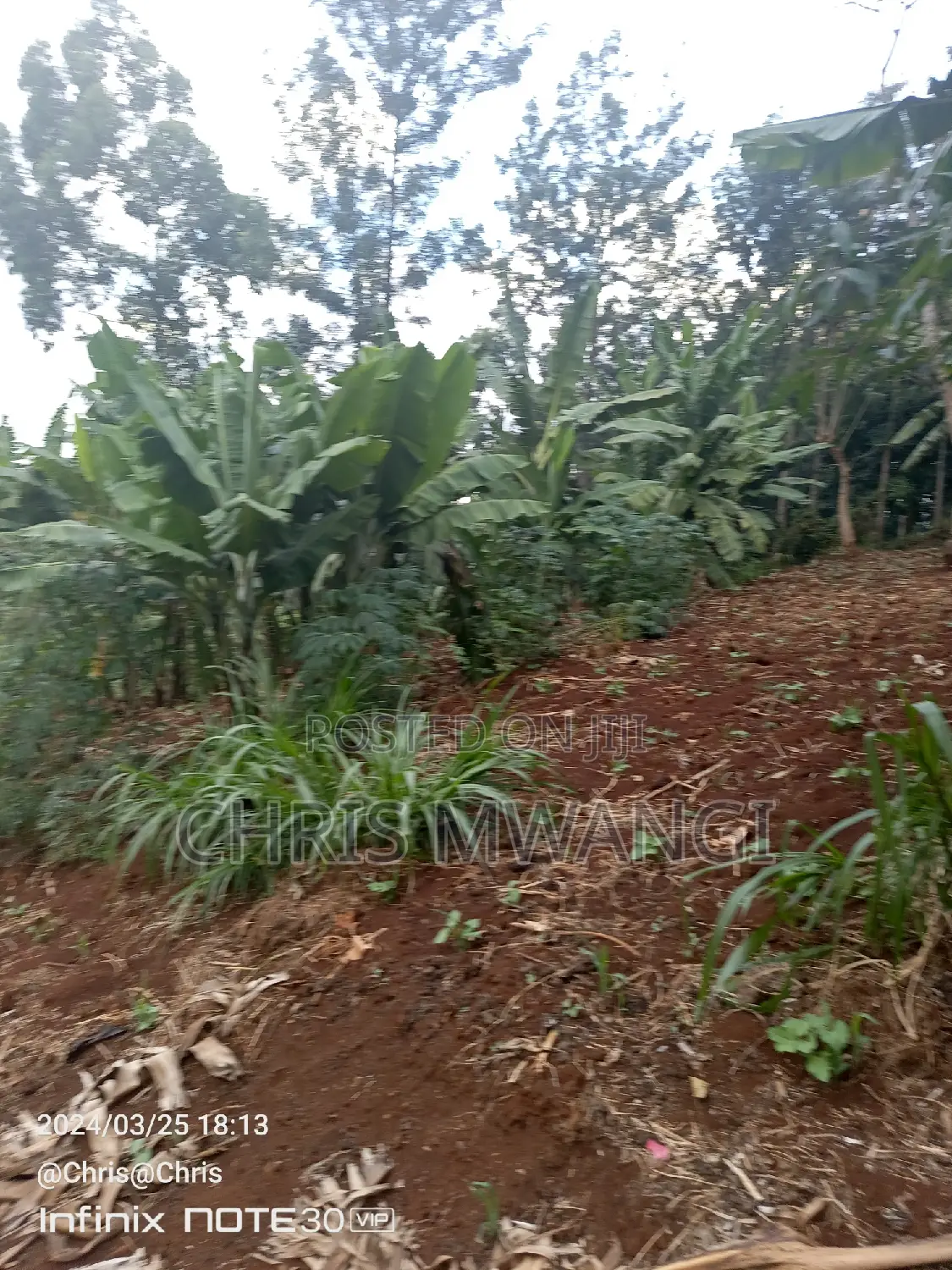 Perfect Title Deed: Secure Your Property Today in Ruaka