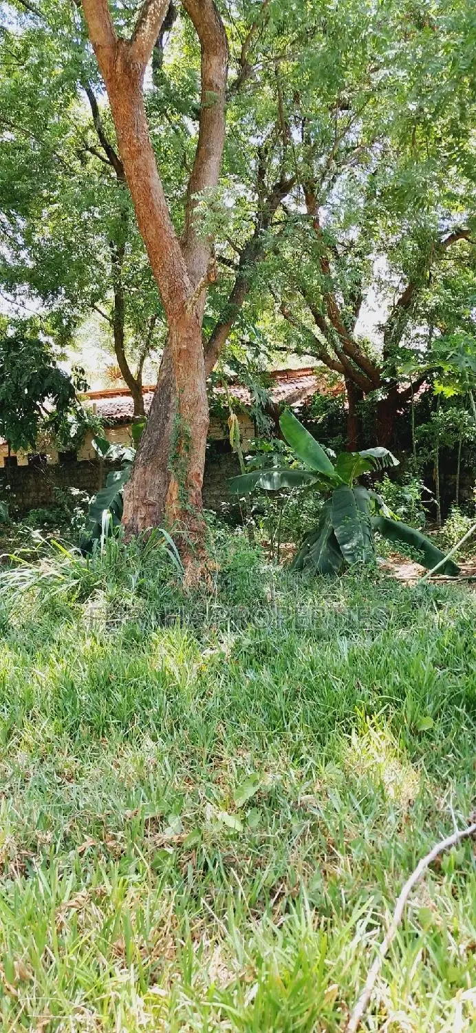 . For Sale: One Eighth Plot Mtwapa, Kenya in Mtwapa