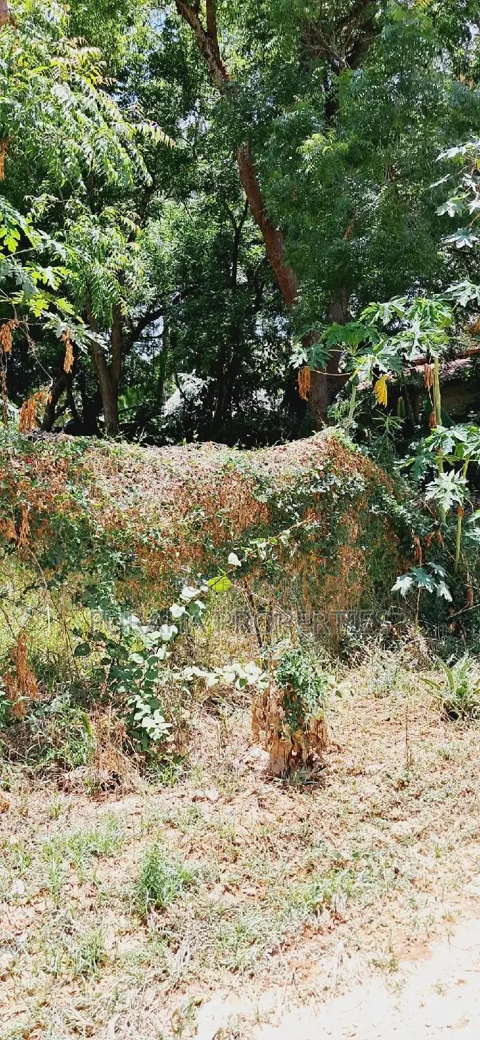 . For Sale: One Eighth Plot Mtwapa, Kenya in Mtwapa