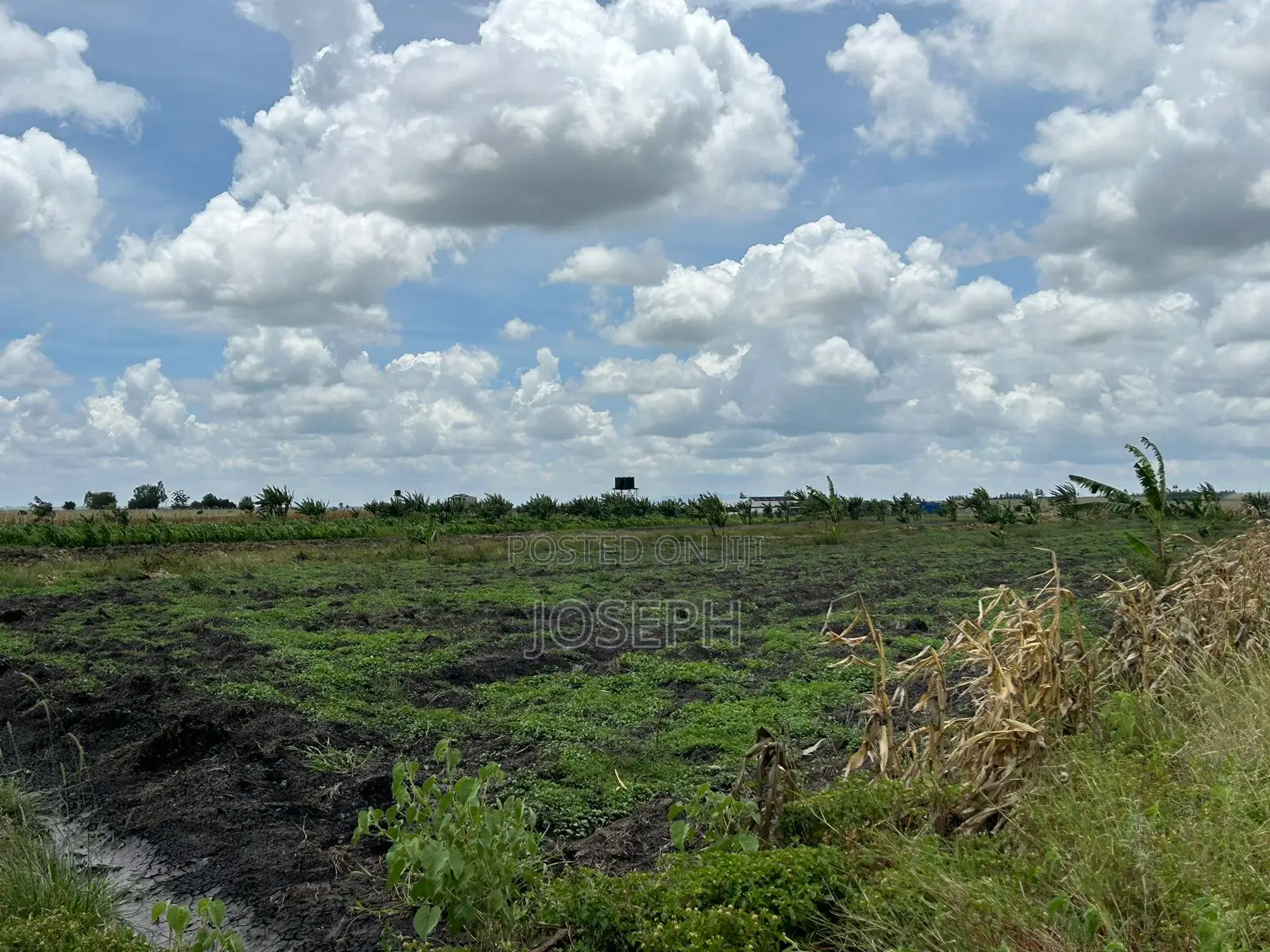 10-Acre Farm in Kisaju: Borehole-Equipped for Agricultural Success in Kisaju