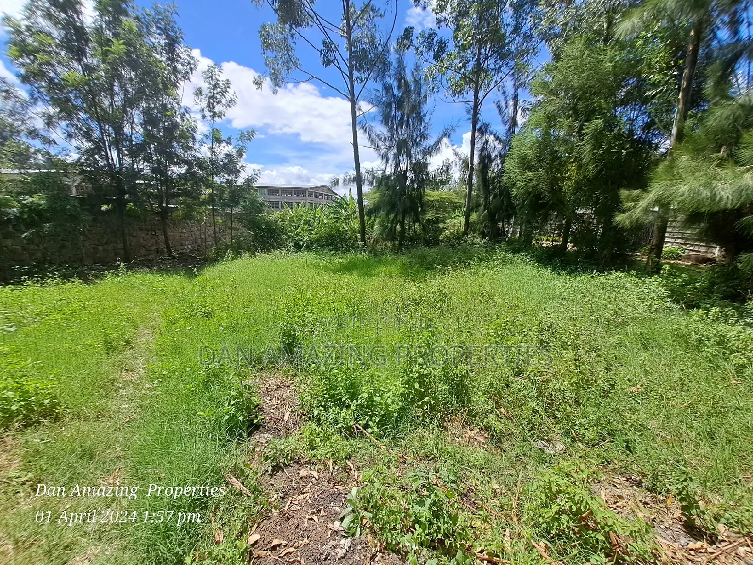Premium 1/8 Acre Land Offer in Ngong Matasia Memusi in Matasia