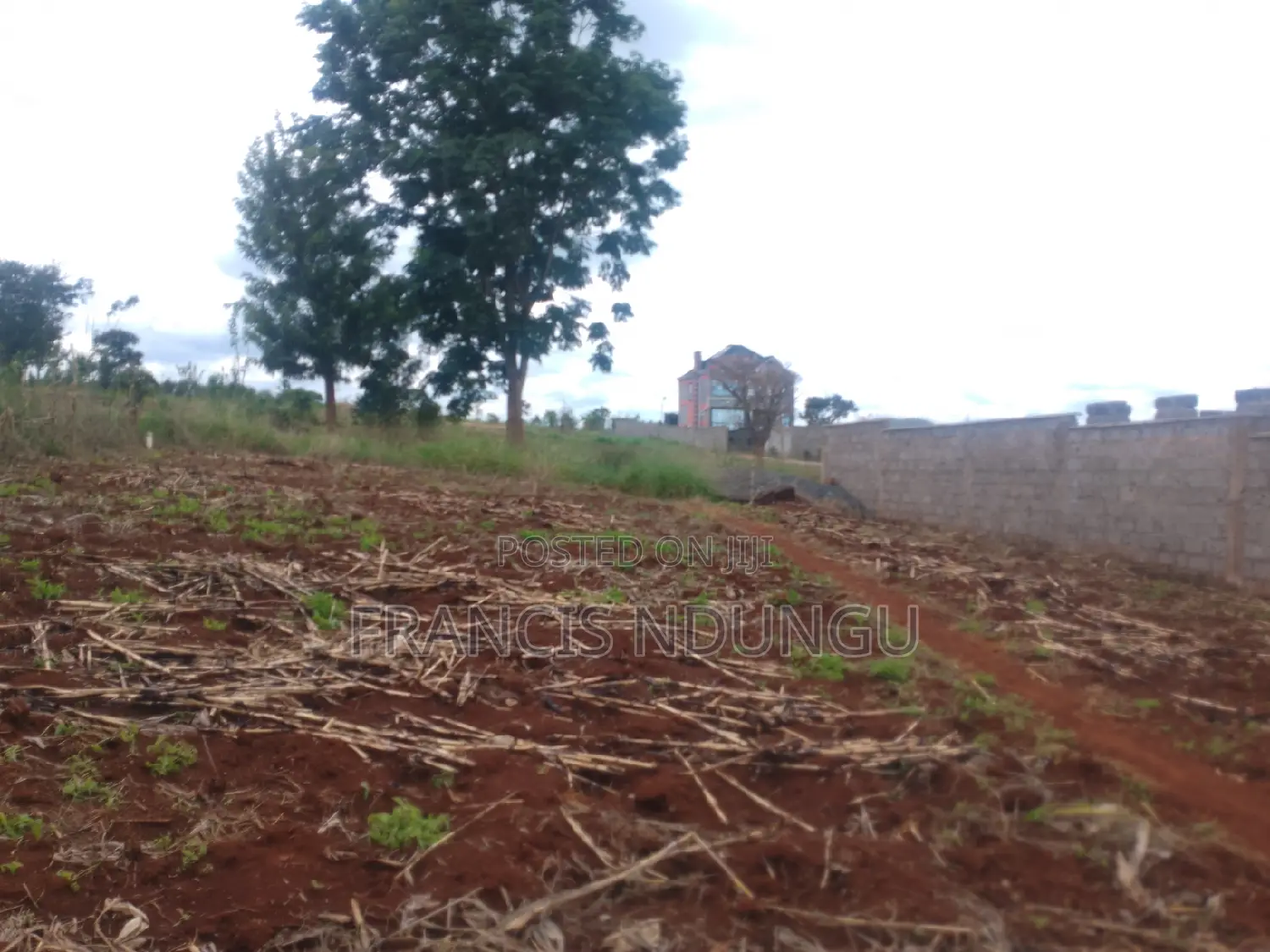 Residential Plots for Sale Matrofi Estate Near Migaa Golf in Tinganga