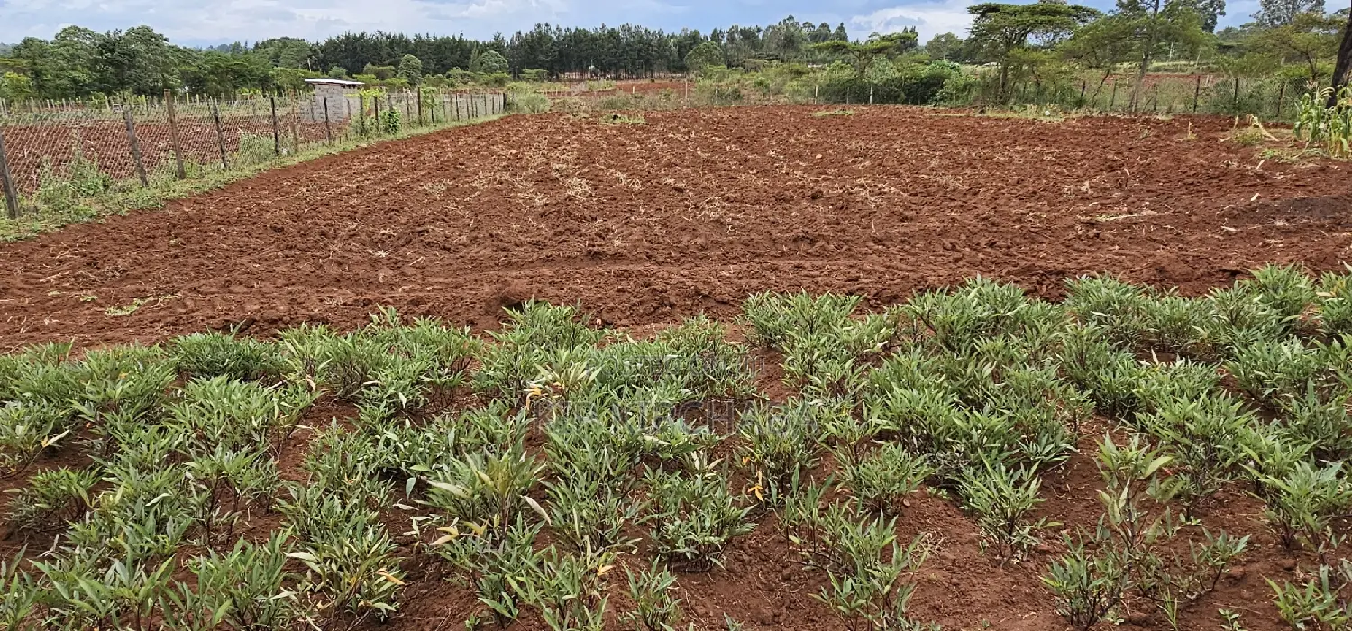 Farm House in Ndalat: 3 Bedrooms of Comfort - For Sale! in Ndalat