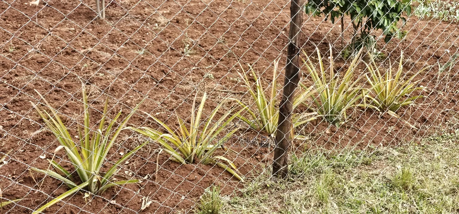 Farm House in Ndalat: 3 Bedrooms of Comfort - For Sale! in Ndalat
