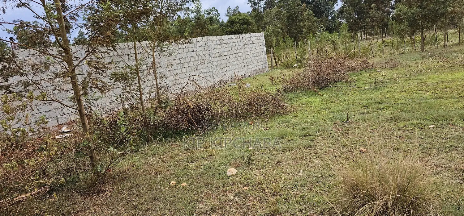 Discover Prime Plots in Segero Kipkenyo: Your Next Investment Awaits in Kipkenyo
