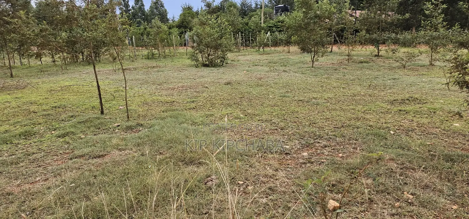 Discover Prime Plots in Segero Kipkenyo: Your Next Investment Awaits in Kipkenyo