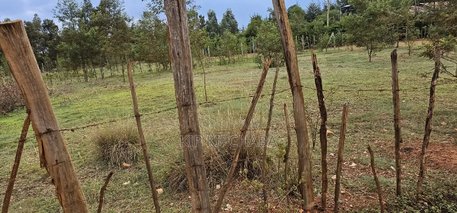 Discover Prime Plots in Segero Kipkenyo: Your Next Investment Awaits in Kipkenyo