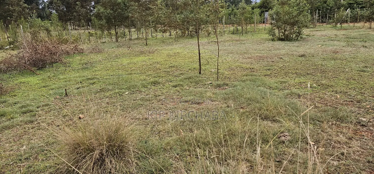 Discover Prime Plots in Segero Kipkenyo: Your Next Investment Awaits in Kipkenyo