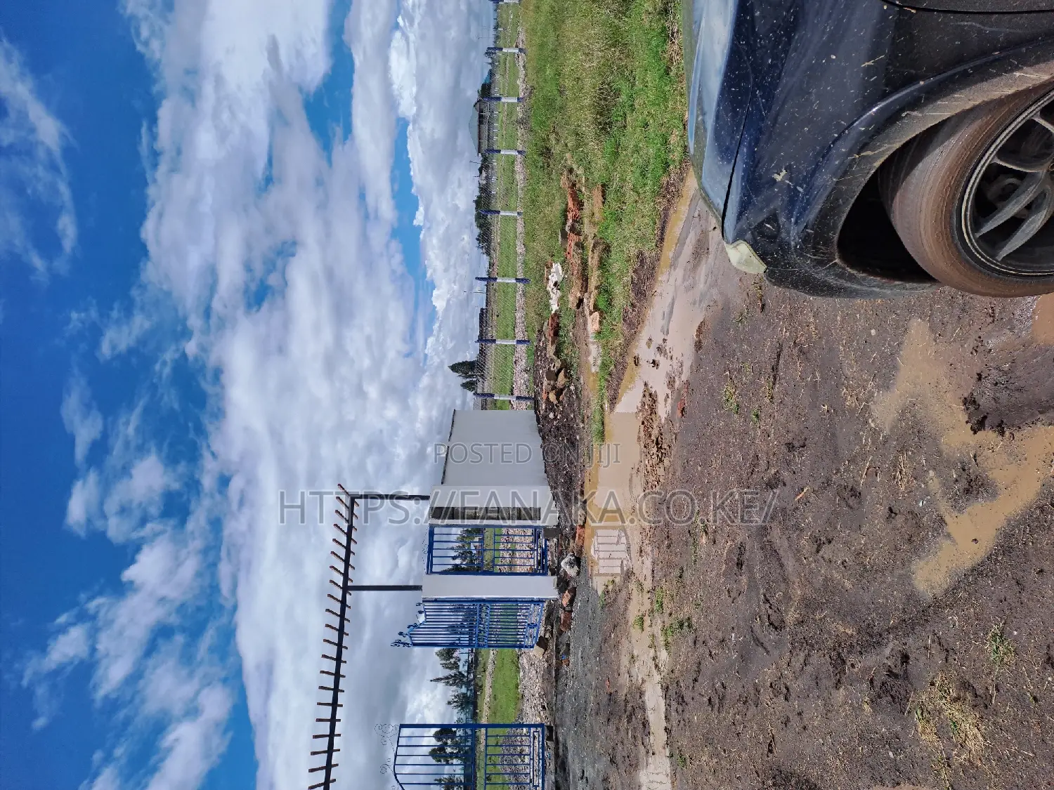 Syokimau-Katani Genuine Plots Ww^ in Katani