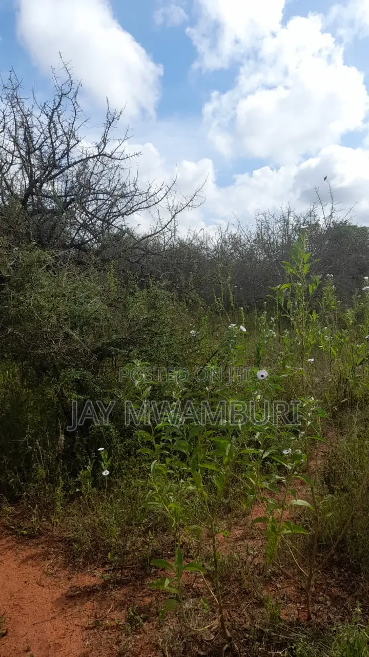 60 Acres Makindu Wote Road in Makindu