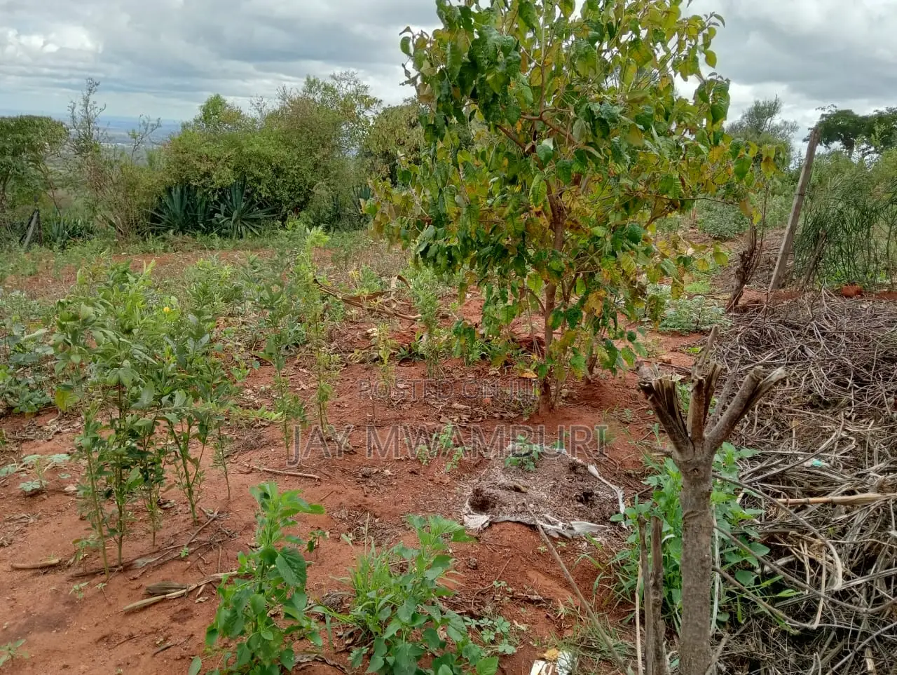 60 Acres Makindu Wote Road in Makindu