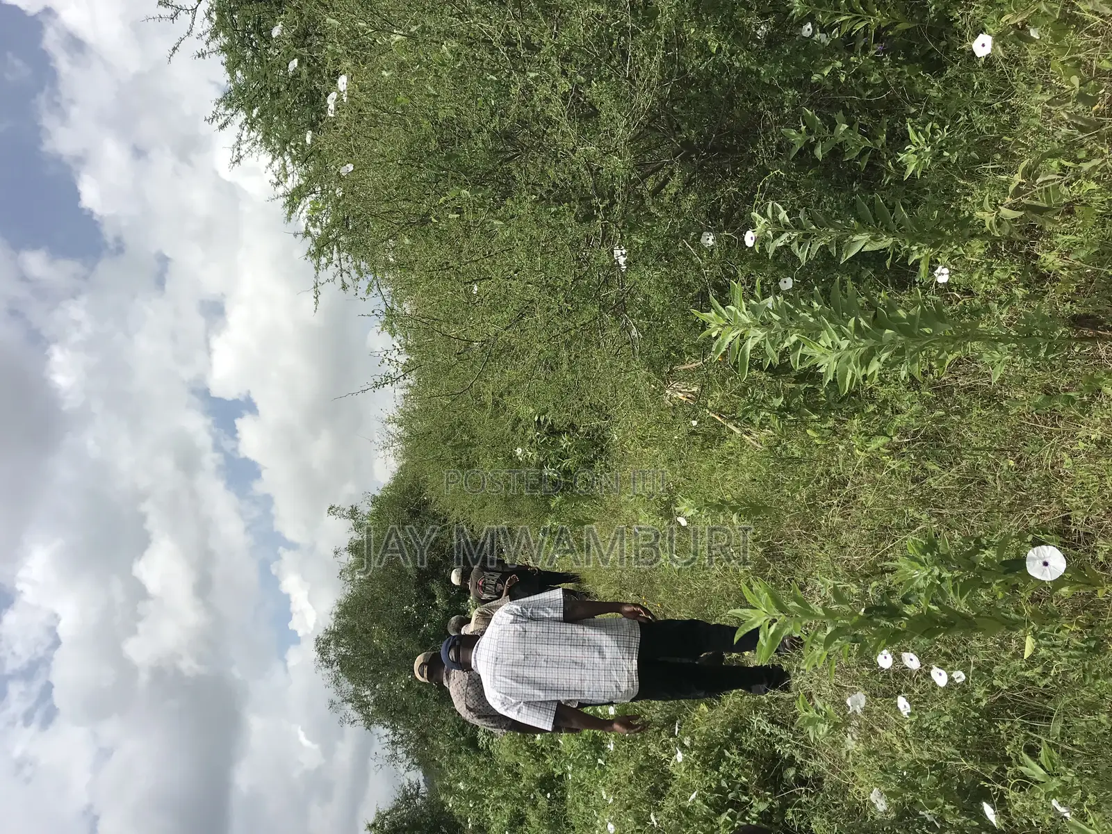 60 Acres Makindu Wote Road in Makindu