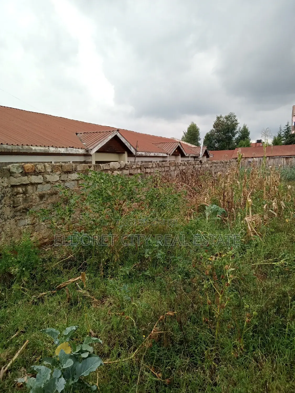 1/4 Plot Kimumu With Title 500metres From Tarmac in Kapsuswa