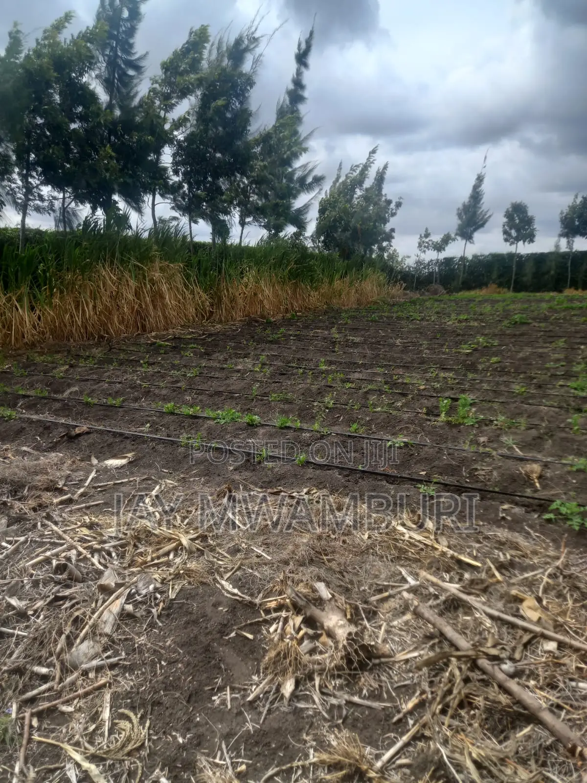 5 Acre Farm Gelani Machakos in Katani