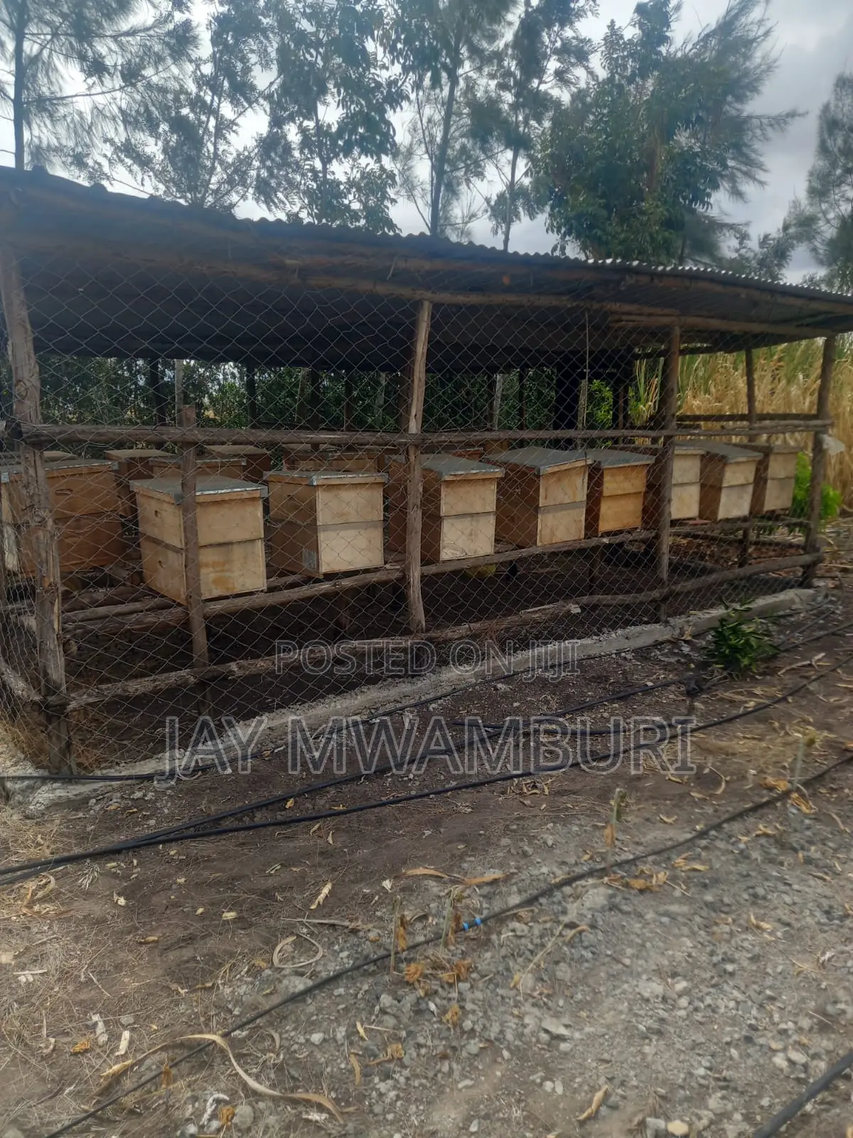 5 Acre Farm Gelani Machakos in Katani