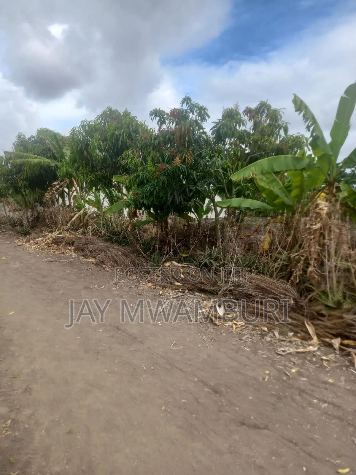 5 Acre Farm Gelani Machakos in Katani